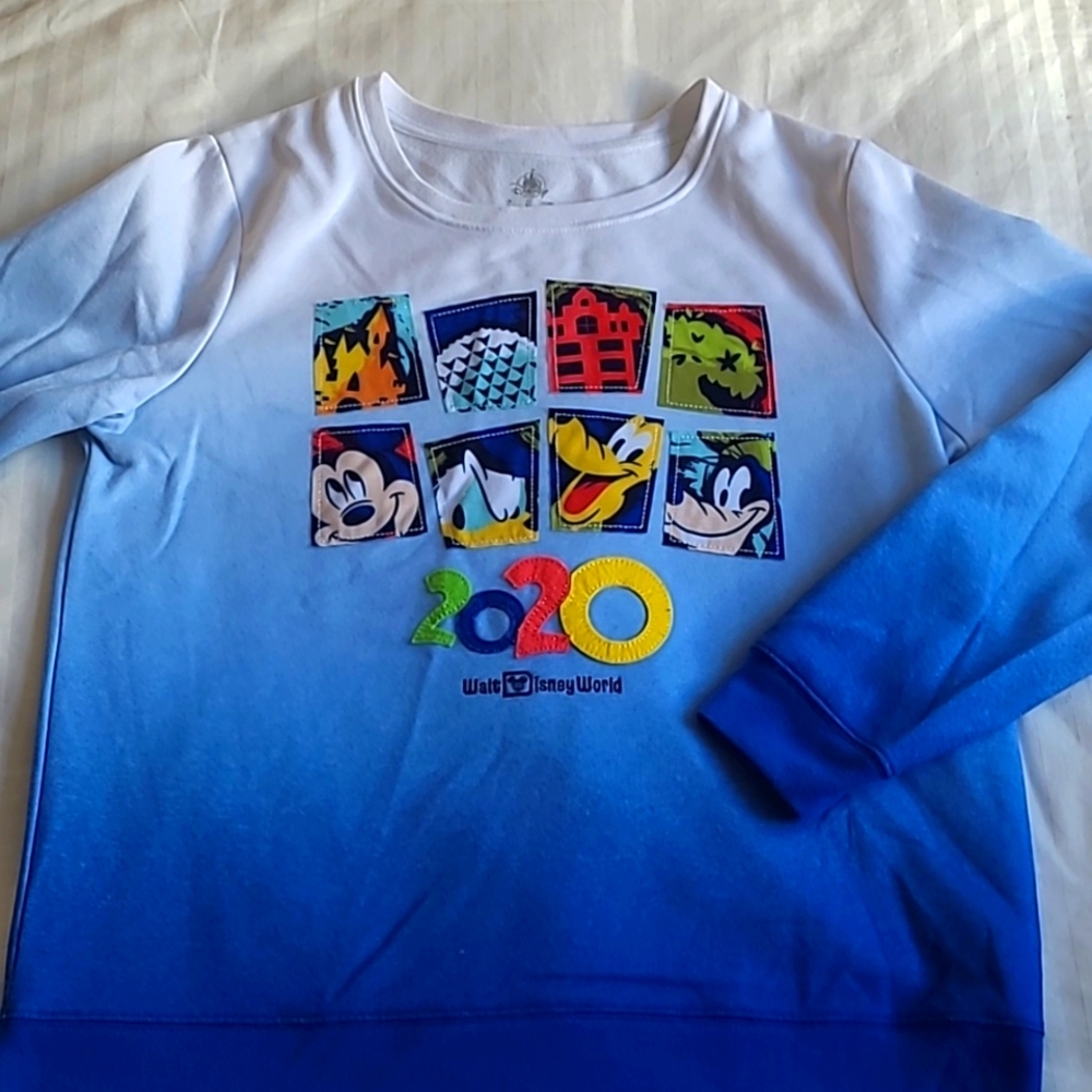 DISNEY 2020 Gradient Walt Disney World Crew Neck Pullover Size Large